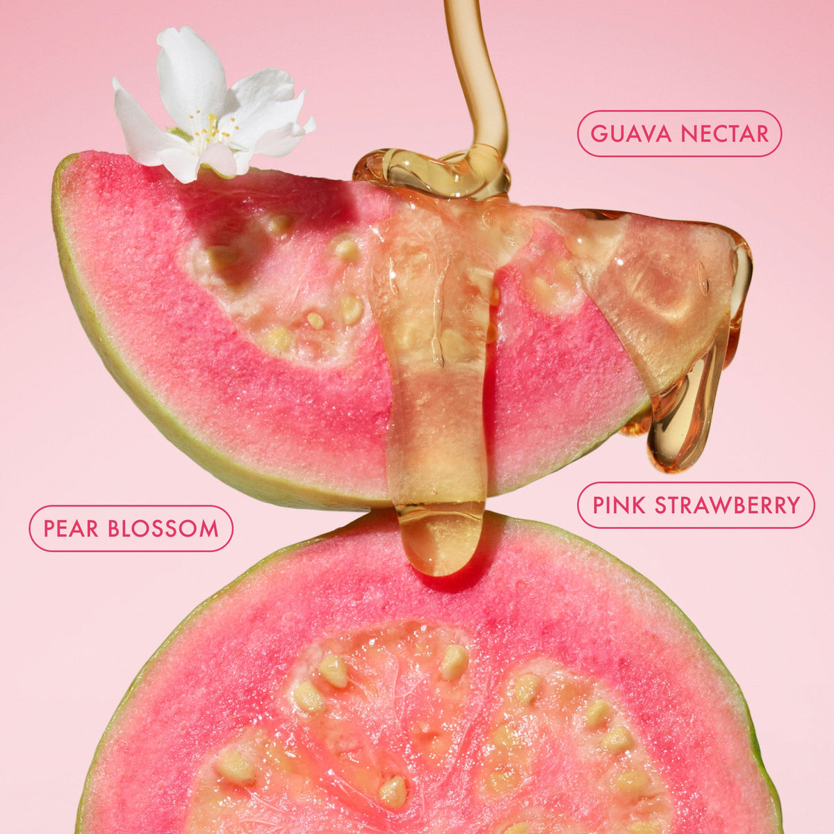 body-butter-balm-pink-guava-travel-size-h8 BodyButterBalmPinkGuava_3.jpg
