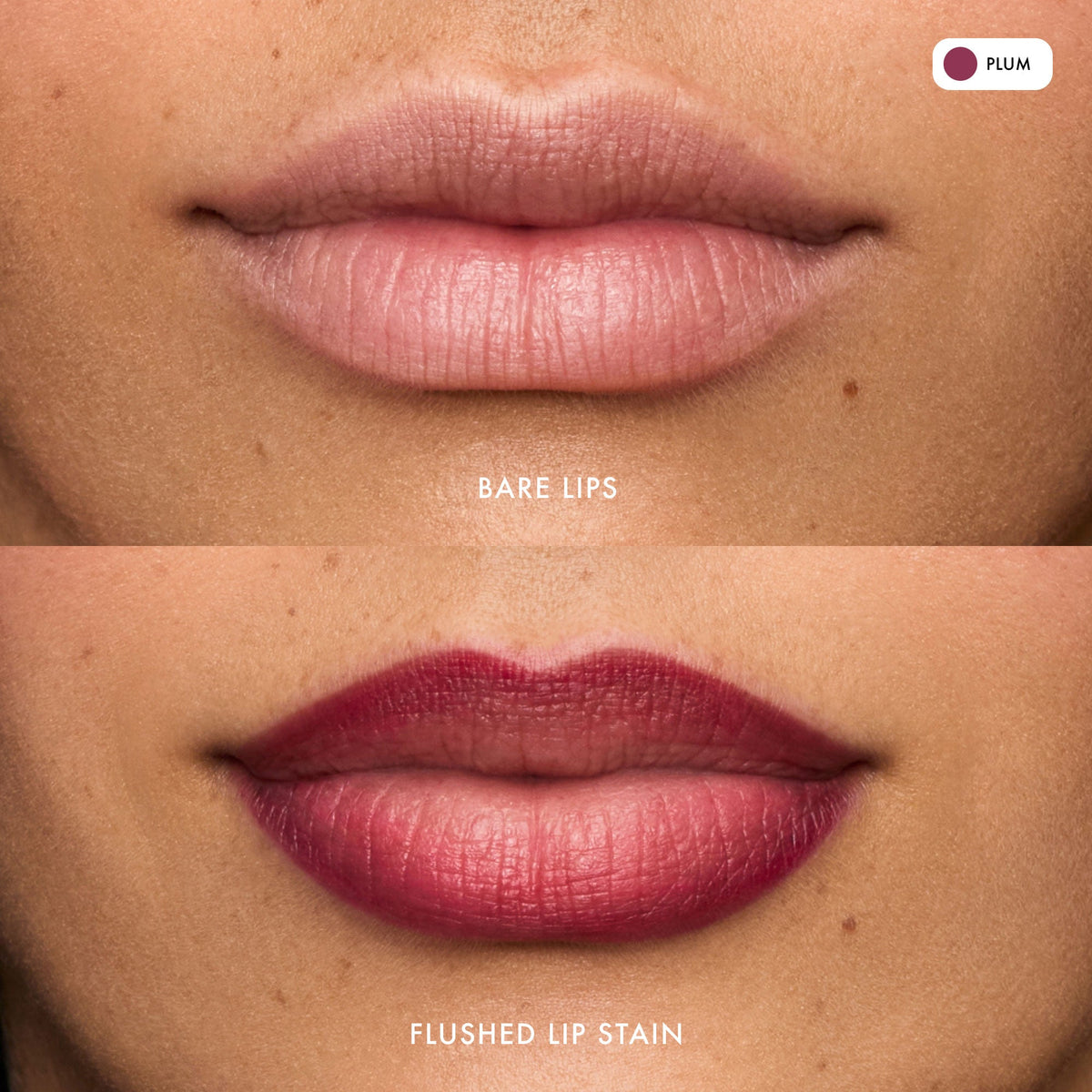 flushed-lip-stain-plum-v6 FlushedLipStain_Plum_B_A.jpg