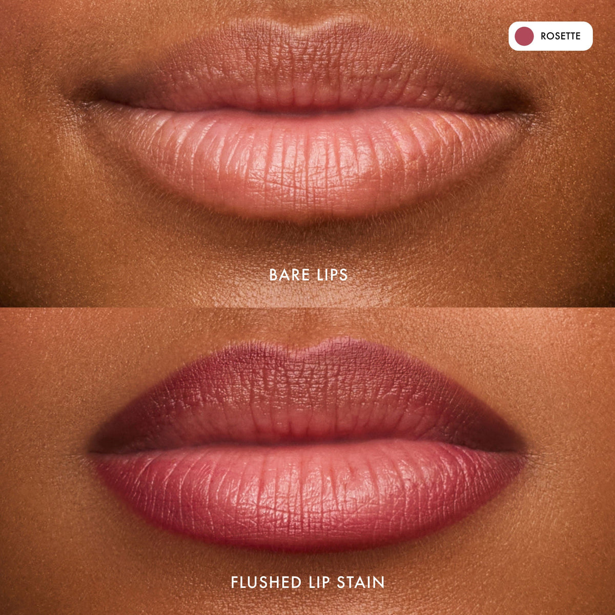 flushed-lip-stain-rosette-l8 FlushedLipStain_Rosette_B_A.jpg