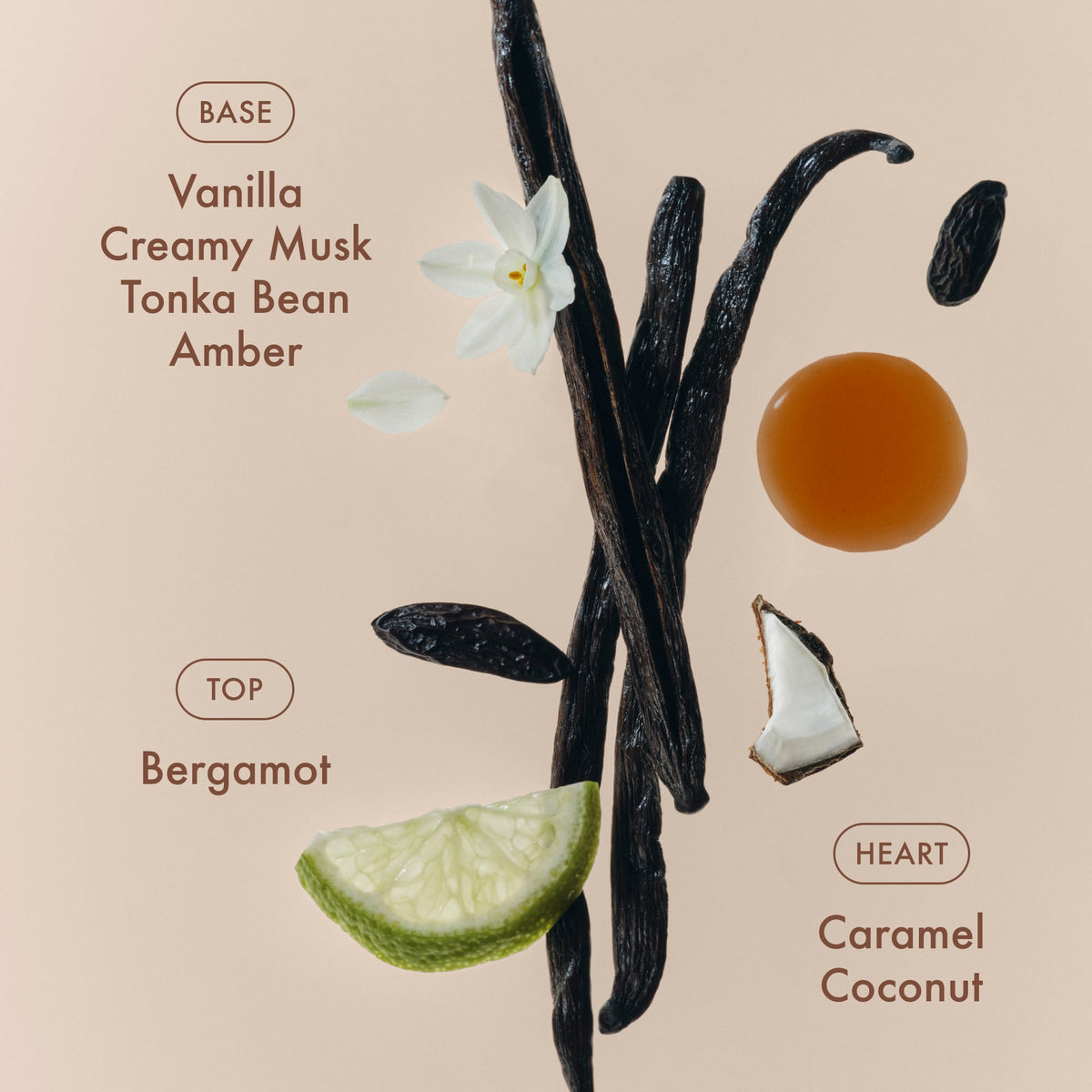sunlit-vanillatm-eau-de-parfum-k0 SunlitVanilla_4.jpg